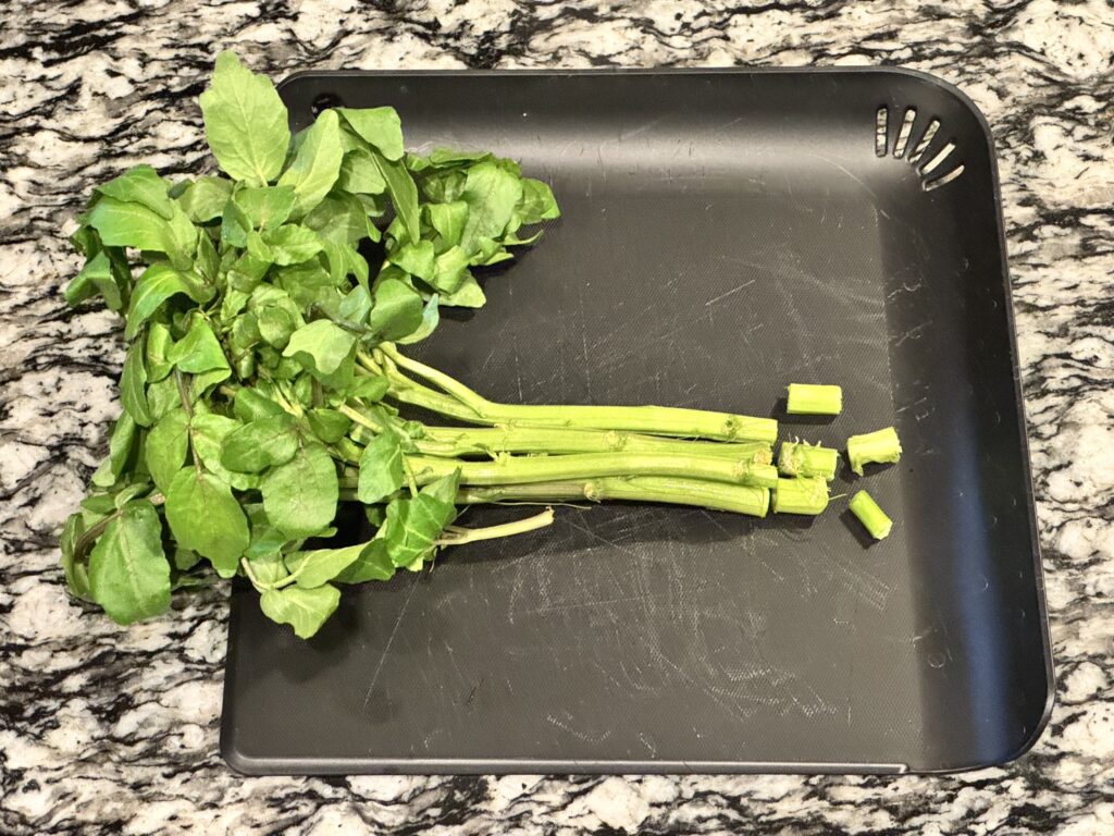 クレソンの茎を切っている様子